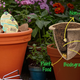 Illustration for article titled Keurig-Like Miracle-Gro Seed Pods Make Gardening Idiot-Proof